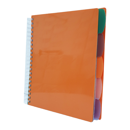 CUADERNO PENTIUM T/CARTA C/SEP. PLAST.100 H. C/LINEAS