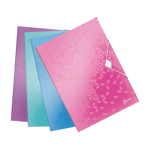FOLDER PLASTICO LEITZ WOW 4599 C/CORDON